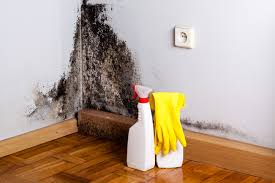 Asbestos and Lead Testing During Mold Inspection in Independence, LA